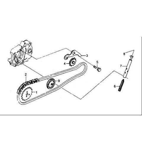 SET CATENA DISTRIBUZIONE YX 125cc 125 - blocco motore 4 tempi kayo krz