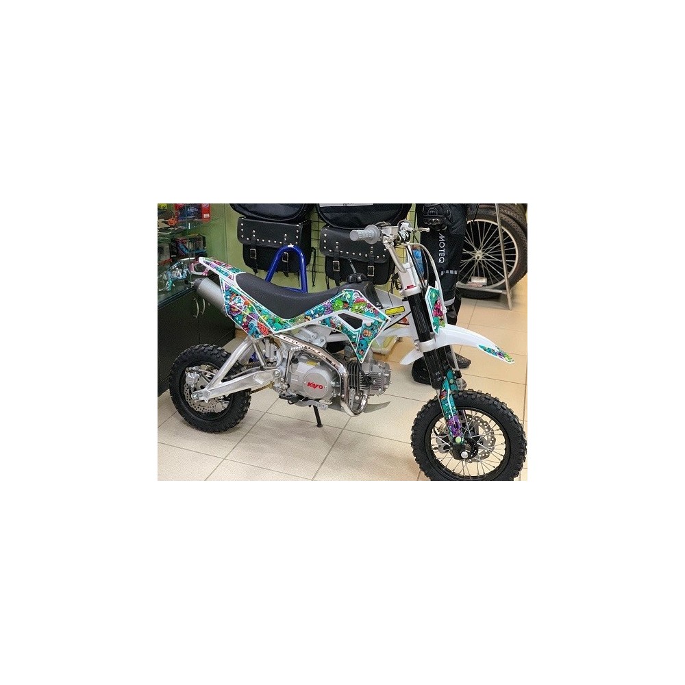 ADESIVI ZOMBI PER PIT BIKE TSD-F110