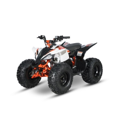 AT110 PREDATOR - MINI QUAD ATV 110cc AUTOMATICO 4 TEMPI BY KAYO