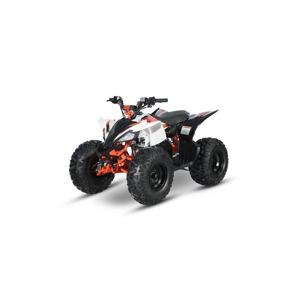 AT110 PREDATOR - MINI QUAD ATV 110cc AUTOMATICO 4 TEMPI BY KAYO