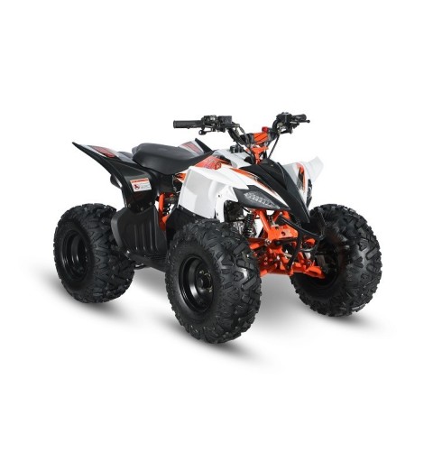 AT110 PREDATOR - MINI QUAD ATV 110cc AUTOMATICO 4 TEMPI BY KAYO