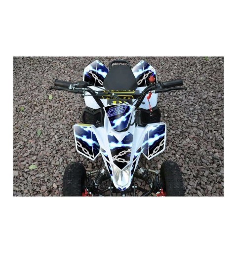 ADESIVI MINIQUAD FOX ROSSI BLU VERDI