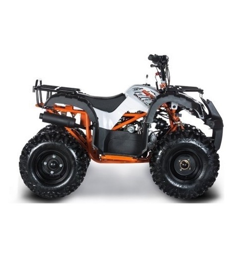 CARENE PLASTICHE QUAD 125CC HUMMER VECCHIO STILE SCOCCA ESCLUSO PEDANE FANALI