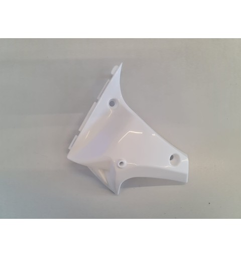 PLASTICA LATO SINISTRO SOTTO SERBATOIO PER QUAD ATV KAYO AT110 AT125 110CC 125CC