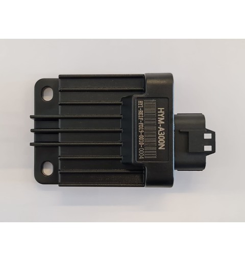 ECU CENTRALINA PER MOTORE QUAD ZS300 300CC HYM-A300N