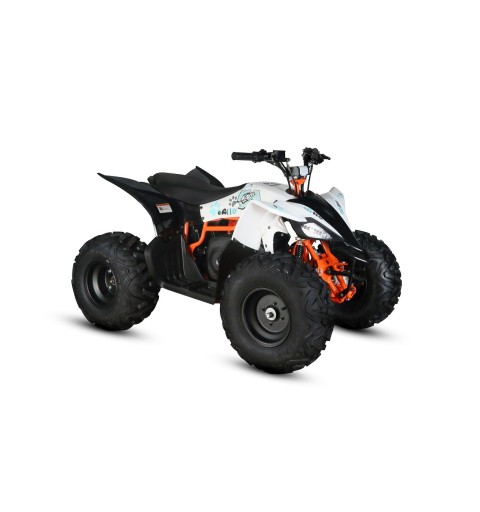 MINIQUAD ATV KAYO eA110 1000W 48V