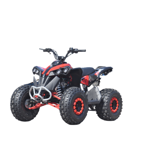 QUAD ATV RENEGADE 125 XXL RUOTE 8