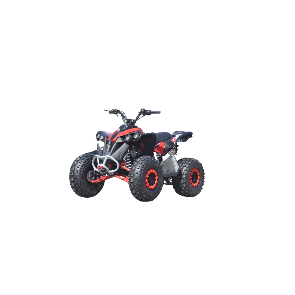 QUAD ATV RENEGADE 125 XXL RUOTE 8