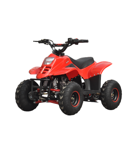 QUAD ATV 110 BAMBOO RUOTE 6" MINIATV MINIQUAD 4 TEMPI 110cc