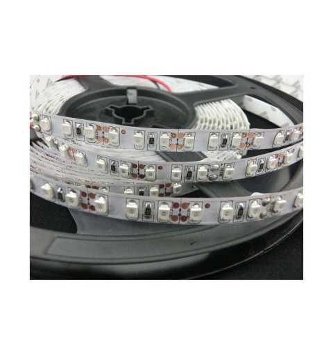 5mt Strip led 3528 STRISCIA IP20 120led/m interno bianco caldo neutro freddo