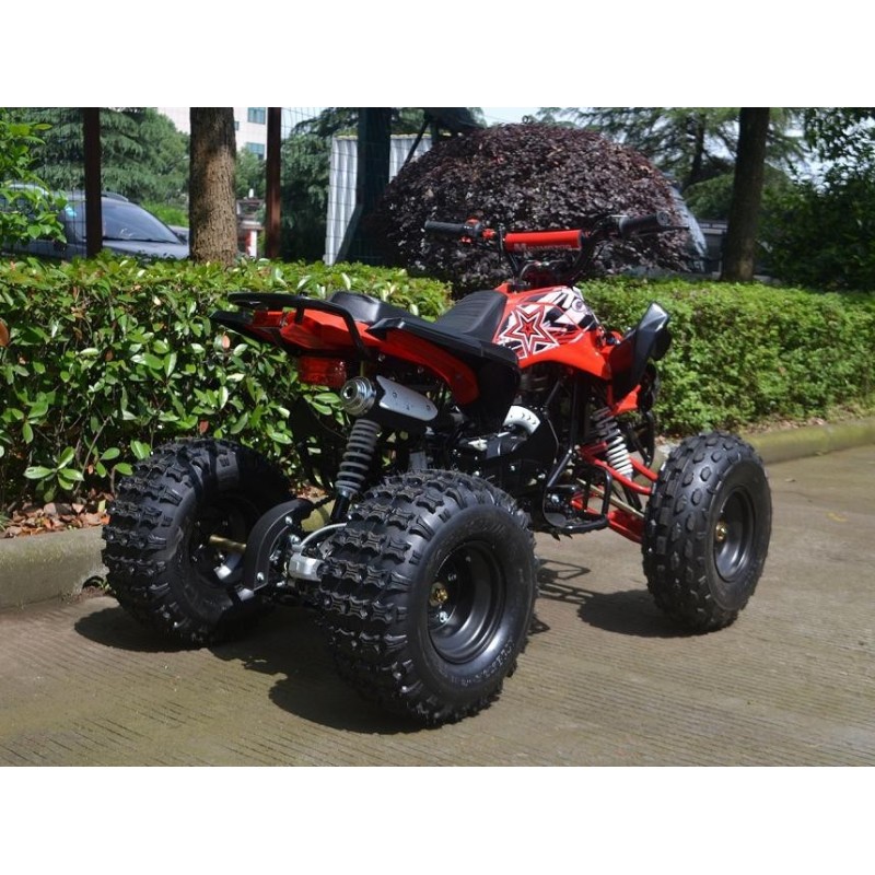 QUAD ATV 125 SPORT NEW - RUOTE 8" SEMIAUTOMATICO miniquad