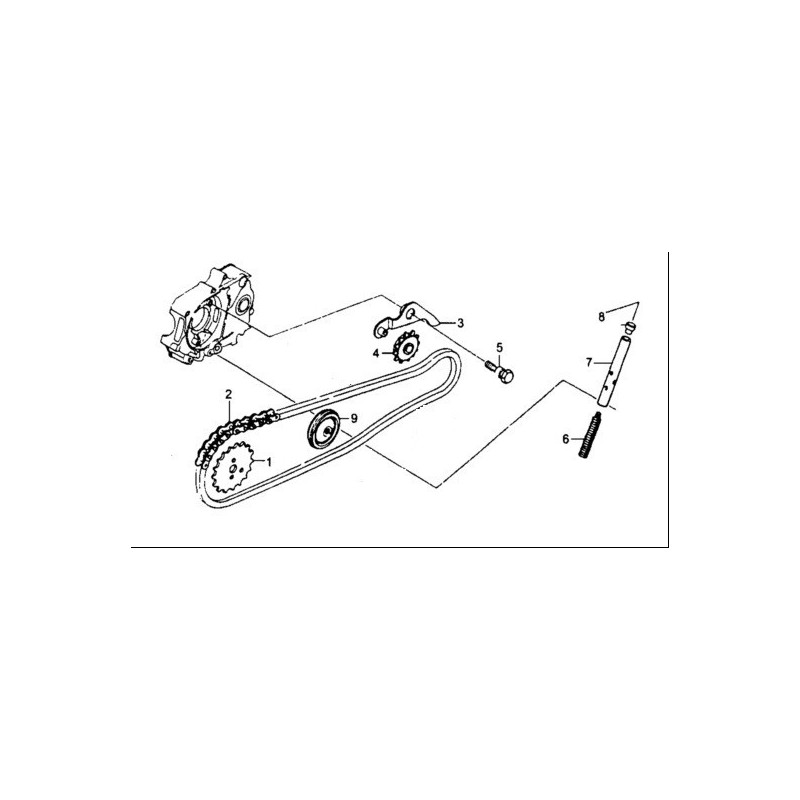 SET CATENA DISTRIBUZIONE YX 125cc 125 - blocco motore 4 tempi kayo krz